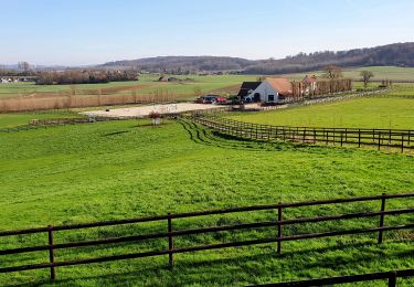 Tocht Stappen Doornik - Thimougies - Béclers - Photo