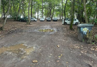 Excursión sport Le Diamant - Petit parcours dizac longuet anse cafard  - Photo