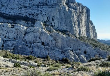 Trail Walking Gémenos - Pic de Bertagne - Photo