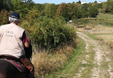 Trail Horseback riding Charmois - rando des vergers 2020  - Photo