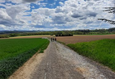 Trail Walking Anthisnes - Anthines - Comblain-au-Pont - Photo