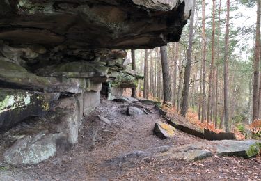 Tocht Te voet Arbonne-la-Forêt - 3 pignons : Boucle de la canche aux merciers - Photo