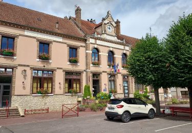 Randonnée Vélo de route Paron - 177 S75 Villeneuve sur Yonne-01 - Photo