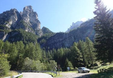 Trail On foot Val di Zoldo - IT-524 - Photo