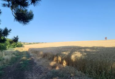 Tour Wandern Lorringen - lorry - Photo