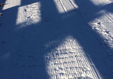 Randonnée Raquettes à neige La Llagonne - Llagone capcir  - Photo