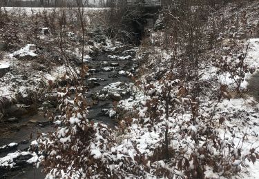 Trail On foot Malmedy - 2021-03-09 21:58:05 - Photo