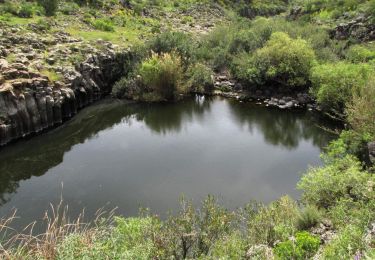 Trail On foot Katzrin - קצרין-זויתן-חניון יהודיה - Photo