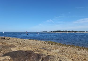 Tocht Mountainbike Saint-Armel - Tour de la presqu'île de Rhuys - Photo