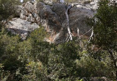 Excursión Senderismo Le Tholonet - Le Tholonet-Zola-Bimon-SiteArcheo-Le Tholonet  - Photo