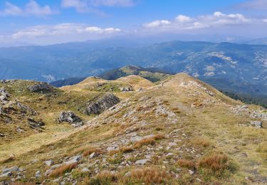 Trail Walking Fiumalbo - Doccia del Cimone -> (presque) sommet du monte Cimone - Photo