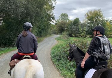 Trail Horseback riding Aubigny-Les Clouzeaux - Boucle Ste Flaive  - Photo