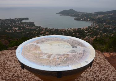 Tocht Stappen Saint-Raphaël - Agay - Rastel d'Agay - Drapeau - Pic du Cap Roux - Photo