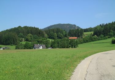 Trail On foot Semriach - Hochtrötsch Rundwanderweg 14a - Photo