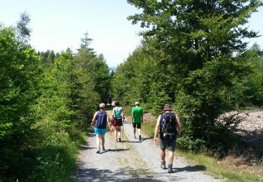 Tocht Stappen Vielsalm - Mesa 1 - Photo