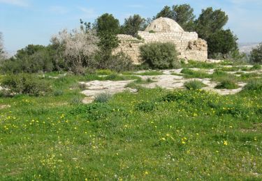 Randonnée A pied מועצה אזורית לכיש - IL-Parts are also a Regional Trail - Photo