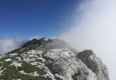 Trail Walking Lans-en-Vercors - Lans en Vercors - Les Ramées - Trou St Michel - Photo