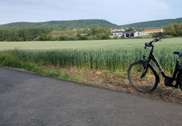 Tour Rennrad Saulny - zone euromoselle - Photo