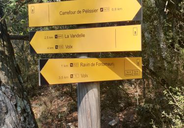 Randonnée Trail Volx - volx - Photo