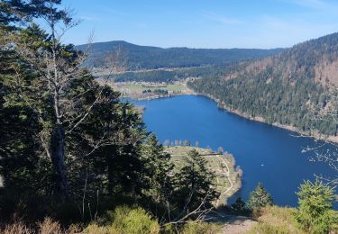 Excursión Senderismo La Bresse - la roche des vieux chevaux - Photo