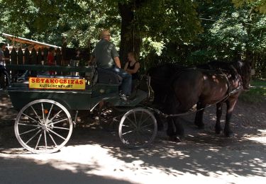 Tocht Te voet Szilvásvárad - Szilvásvárad - Szalajka-völgyi Tanösvény - Photo