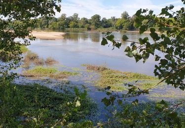 Trail Walking Bonny-sur-Loire - Bonny sur Loire - Photo