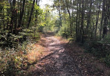 Randonnée Marche Braine-le-Comte - Hen - Photo