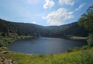 Randonnée Marche Orbey - Le Lac Noir - Photo