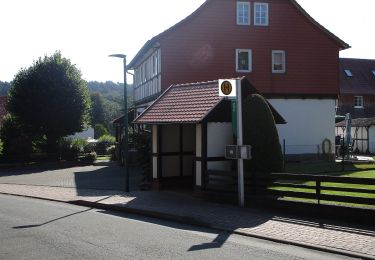 Tour Zu Fuß Bad Arolsen - Bad Arolsen Wanderweg NB1x - Photo