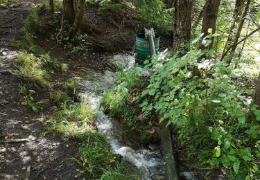 Tocht Noords wandelen Arbaz - Botyre  - Photo