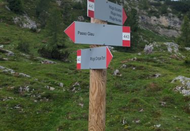 Trail Walking Colle Santa Lucia - Passo Di Giau - Rifugio Nuvolau - Photo