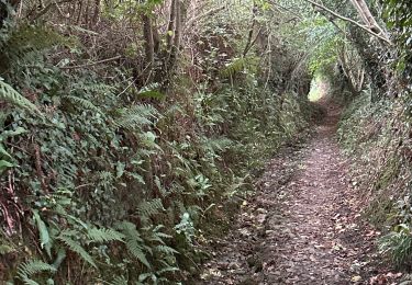 Excursión sport Plestin-les-Grèves - Le grand Rocher saint Efflam - Photo