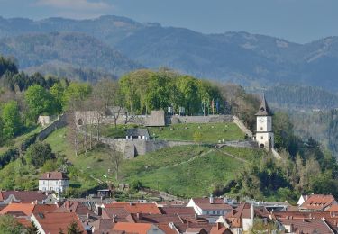 Randonnée A pied Bruck an der Mur - Naturfreunde Rundwanderweg - Photo