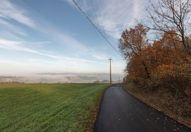 Randonnée A pied Baiso - Visignolo - La Baragalle - Il Borgo - Casalecchio - Visignolo - Photo