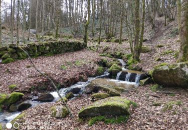 Trail Nordic walking Saint-Léger-le-Guérétois - 3 coches 8.8k - Photo