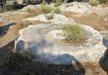 Trail On foot Mate Yehuda Regional Council - zanoach-sifla - Photo