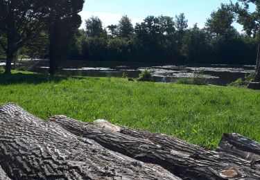 Percorso Marcia Long - Une randonnée rythmée par les étangs. - Photo