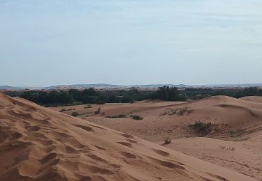 Tocht Stappen M'Hamid El Ghizlane ⵎⵃⴰⵎⵉⴷ ⵍⵖⵯⵣⵍⴰⵏ امحاميد الغزلان - Rando A.M - Campement 4 - Photo