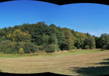 Tour Wandern Léglise - Vlessart - Photo