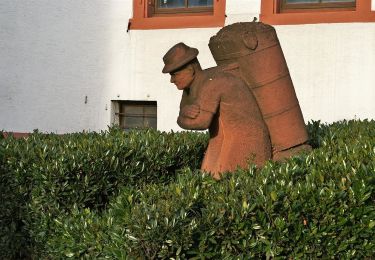 Tocht Te voet Weingarten - Über sanfte Hügel zur Schönen Aussicht - Photo