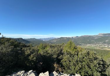 Trail Walking Le Castellet - La begude - Photo