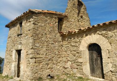 Trail On foot Porqueres - Ruta de l’Estany a Sant Patllari - Photo