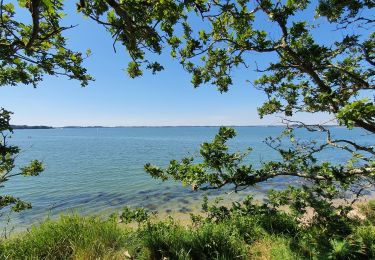 Randonnée Marche Sarzeau - pointe de l'Ours à partir de Bernon - Photo