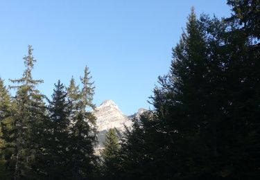 Tocht Stappen Corrençon-en-Vercors - corencon 2019 - Photo