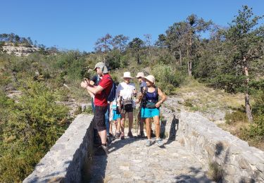 Excursión Senderismo Trigance - LE pont du Sautet,de Carajuan et le belvédère des vautours - Photo