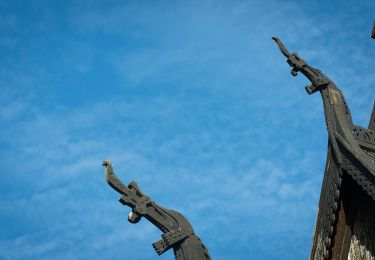 Tour Zu Fuß  - Målsete-Bøeggi-Vik aktivitetspark - Photo