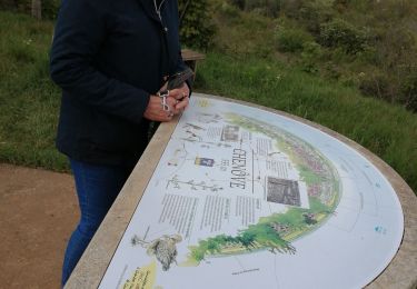 Randonnée Marche Marsannay-la-Côte - ferme de l'école par la déchets  - Photo