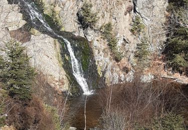 Tour Wandern Malmedy - Signal Botrange varian - Photo