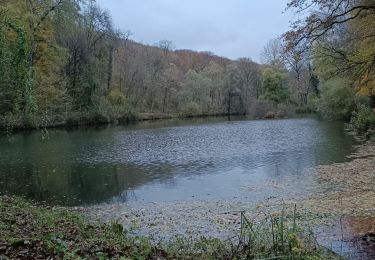 Trail Walking Bouxières-aux-Dames - Bouxiére aux Dames Any et Edith 10kms - Photo