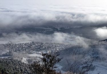Randonnée Marche Ottrott - 2022-12-18 Picnic CVA Mt Ste Odile a pied - Photo